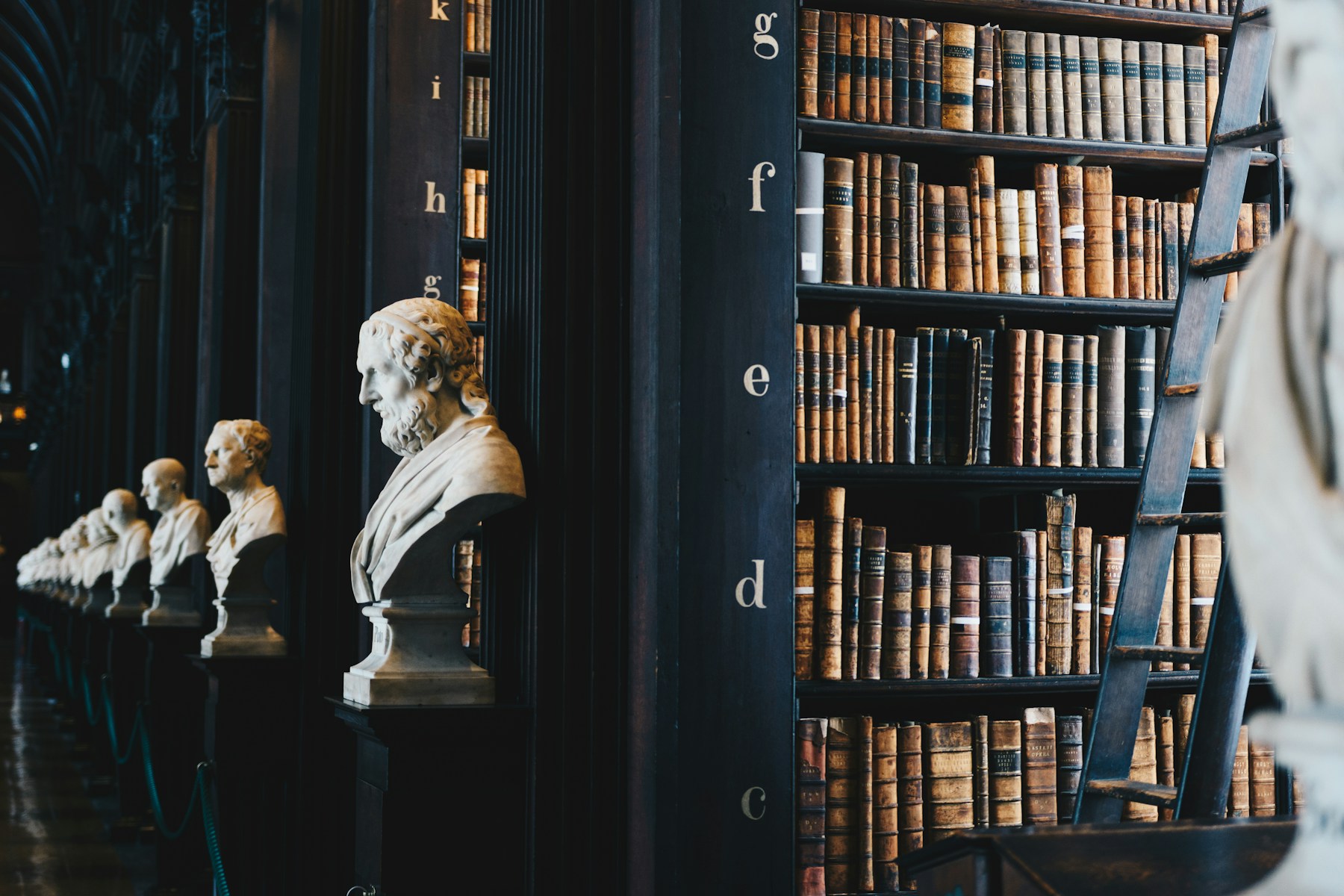 Law books lining the shelves of a library